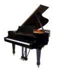 Steinway B-211 Hamburg