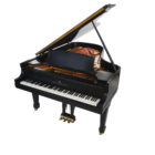 Steinway B-211 New York