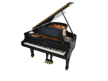 Steinway B-211 New York