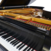 Steinway B-211 New York
