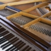 Grotrian-Steinweg Grand Piano 189