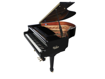 Wertheim Euro 170 with piano disc